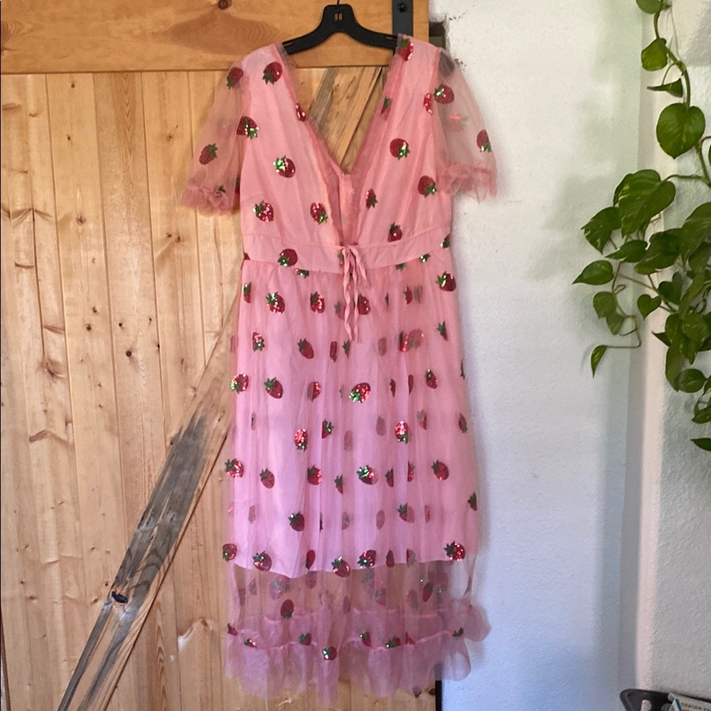 Pink Tulle Dress with Strawberry Embroidery